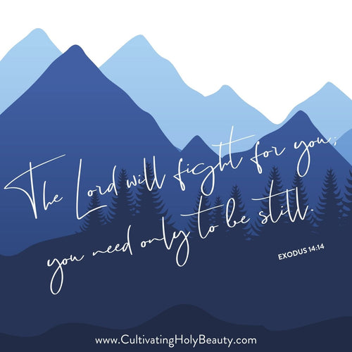The Lord Will Fight For You - Mirror/Window Cling